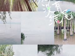 -捞渔河湿地公园