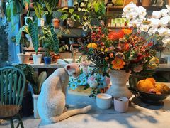 -自由生长植物工作室(深港花卉中心店)