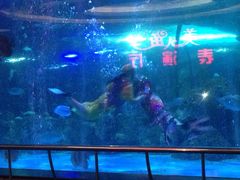 -大明湖海底世界