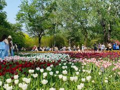 -北京植物园南门售票处