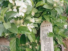 -元大都城垣遗址公园