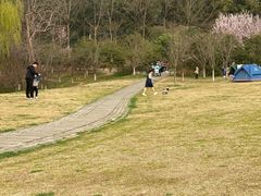 -南山风景名胜区