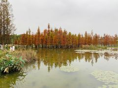-白鹭湾湿地公园