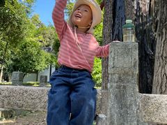 -上海佘山国家森林公园天马山园