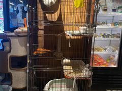 -木沐影咖(鑫乐汇购物广场店)