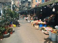 -循礼门鲜花花市(武汉循礼门店)