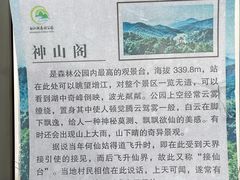 -广州白江湖森林公园