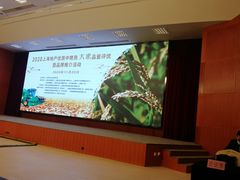 -西郊国际农产品交易中心