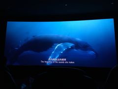 -SFC上影影城(港汇永华IMAX激光店)