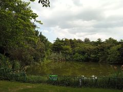 -广东花都湖国家湿地公园
