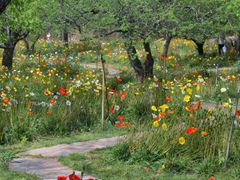 -名花谷生态庄园