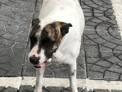 -班赞海鲜市场