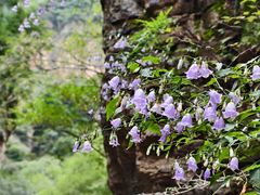 -龙门涧景区