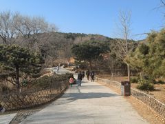 -北京西山国家森林公园