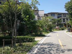 -田园东方蜜桃村的田野营地