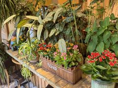 -萤火虫咖啡(后海店)