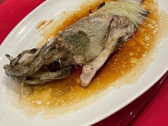石锅古法蒸老虎斑-利苑酒家(华熙国际店)