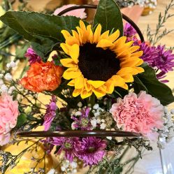 -贝瑞佳月子会所(杭州旗舰店)