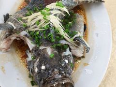 -隆都四季香饭店(碧海路店)