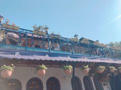 -Sirena海妖日咖夜酒