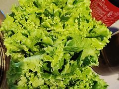 -杨记齐齐哈尔烤肉(总店)