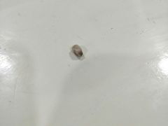 -小放牛炒菜馆(裕华东路店)