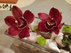 -T館·花园艺术餐厅