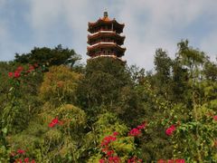 -深圳仙湖植物园