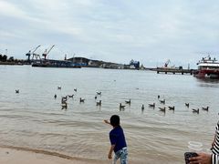 -海驴岛(荣成市)
