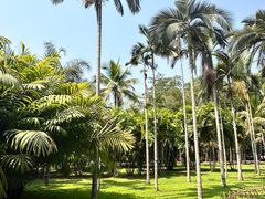 -中国科学院西双版纳热带植物园