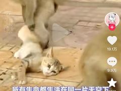 -昆明动物园