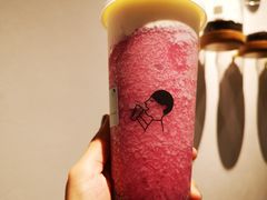 -喜茶(上海打浦桥日月光gelato lab+店)