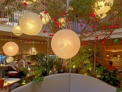 -馋嘴猫北京食堂·烤鸭·宵夜(亚运村店)