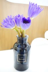 -悦芳庭美肤美体品牌集合店