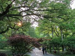 -杭州花家山庄