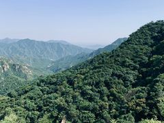 -大岭沟猕猴桃谷风景区