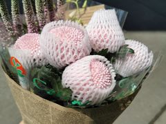 -双季花艺园艺市场(浦东店)