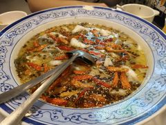 -新蜀会四川豆花(五羊店)