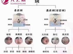 -星港国际·Skin皮肤专研·皮肤管理