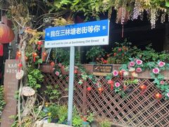-三林塘老街