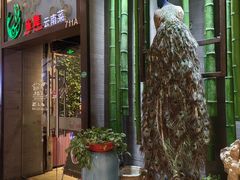 -雀舞云南菜(天津天河城购物中心店)