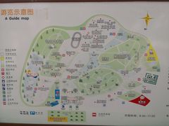 -广东茂名森林公园