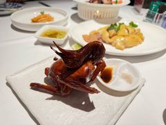 -侨美食家·41年地道粤菜(珠江新城店)