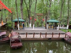 -合肥滨湖国家森林公园