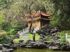 -深圳国际园林花卉博览园