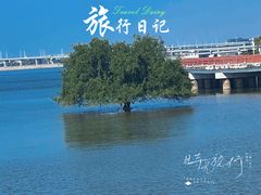 -宝安西湾红树林湿地公园