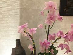 -三亚湾海居铂尔曼度假酒店