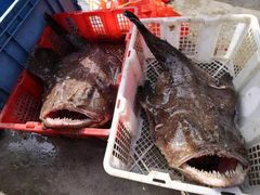 -浪琴湾尾角仔海鲜坊