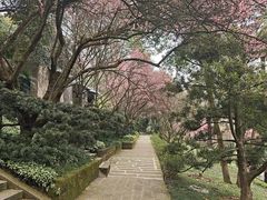 -南山植物园