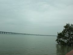 -宝安西湾红树林湿地公园